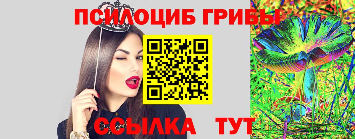 где можно купить   Вход с VPN  Обнинск  Псилоцибиновые грибы Psilocybine cubensis 
